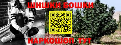 a pvp Бийск