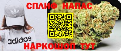 a pvp Бийск
