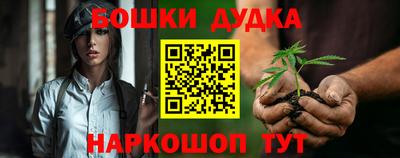 a pvp Бийск
