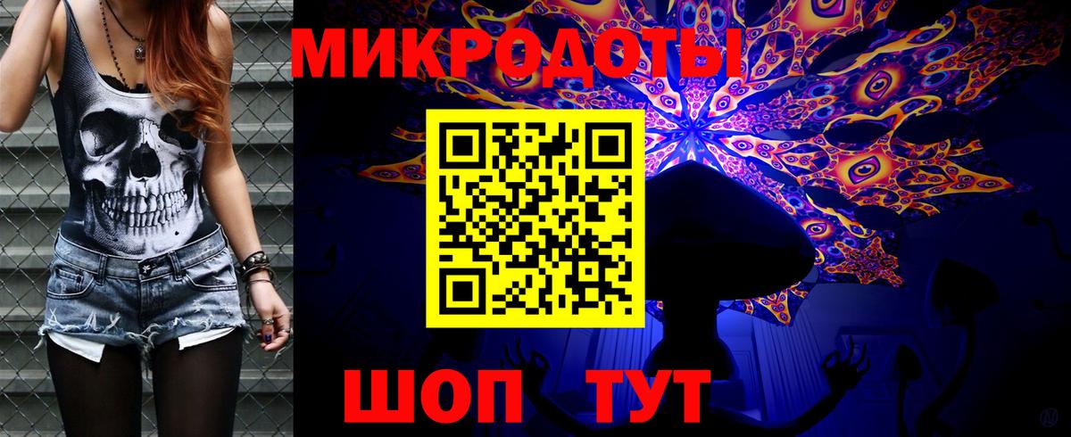 Псилоцибиновые грибы Psilocybe  Вход с VPN  Псилоцибиновые грибы прущие грибы  Верхняя Салда 